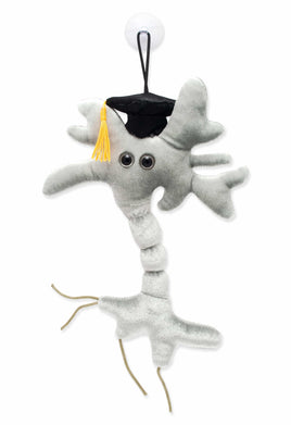 Giant Microbes Graduation Brain Cell - Planet Microbe
