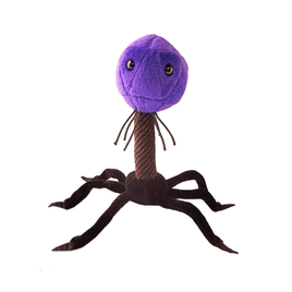 Giant Microbes Original T4 - Bacteriophage - Planet Microbe