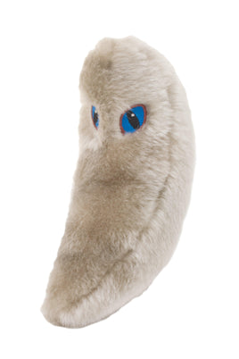 Giant Microbes Toxoplasmosis - Planet Microbe