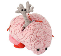 Giant Microbes XL Deluxe Brain Organ with Hidden Cells & Neurotransmitters - Planet Microbe