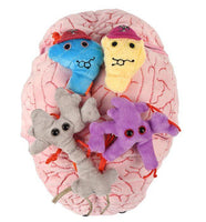 Giant Microbes XL Deluxe Brain Organ with Hidden Cells & Neurotransmitters - Planet Microbe