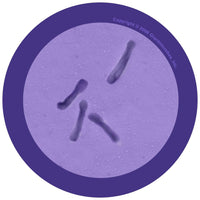 Giant Microbes Original C. Diff Clostridium Difficile