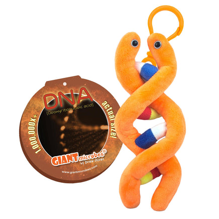 Giant Microbes DNA Keyring - Planet Microbe
