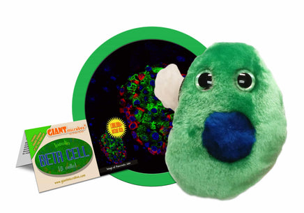 Giant Microbes Diabetes Beta Cell Insulin Β Cells - Planet Microbe