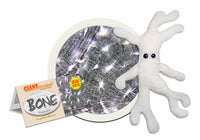 Giant Microbes Bone Cell Osteocyte - Planet Microbe