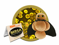 Giant Microbes MRSA Methicillin-Resistant Staphylococcus Aureus - Planet Microbe