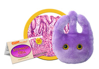 Giant Microbes Original Stomach Cell - Planet Microbe