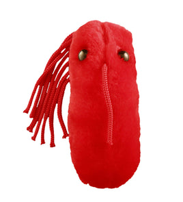 Giant Microbes Original Typhoid Fever - Planet Microbe