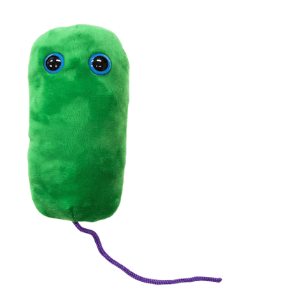 Giant Microbes Legionnaires Legionella - Planet Microbe
