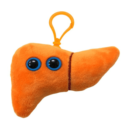 Giant Microbes Liver Keyring - Planet Microbe
