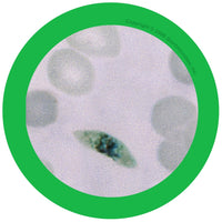 Giant Microbes Original Malaria - Planet Microbe