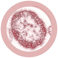 Giant Microbes Original Measles Morbillivirus - Planet Microbe