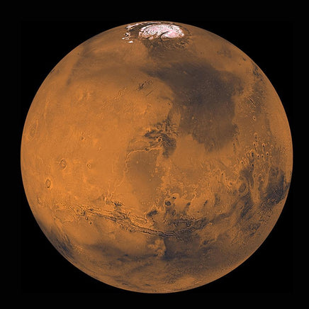Mars Buddy - Planet Microbe