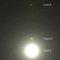Celestial Buddies Polaris Buddy (Lights Up) - Planet Microbe