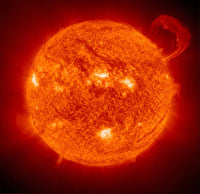 Sun Buddy - Planet Microbe