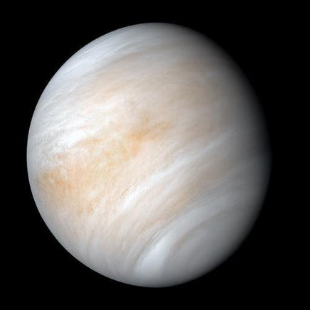 Venus Buddy - Planet Microbe