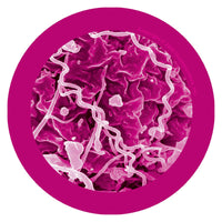 Giant Microbes Pox Syphilis Keyring - Planet Microbe