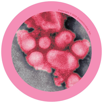 Giant Microbes Original Swine Flu (Influenza A Virus H1N1) - Planet Microbe