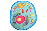 Giant Microbes Original Animal Cell - Planet Microbe
