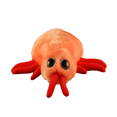 Giant Microbes Bed Bug Cimex Lectularius - Planet Microbe
