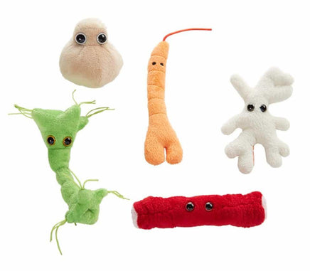 Giant Microbes Body Cells Themed Box Set - Planet Microbe