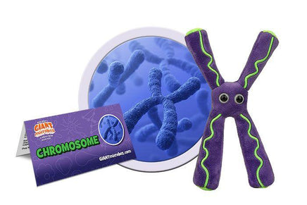 Giant Microbes Original Chromosome - Planet Microbe