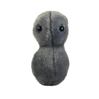Giant Microbes Clap Gonorrhea Neisseria