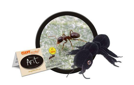 Giant Microbes Original Black Ant - Planet Microbe