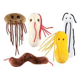 Giant Microbes Gut Check Pack - Planet Microbe