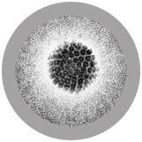 Giant Microbes Original HPV (Human Papillomavirus) - Planet Microbe