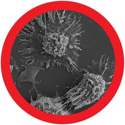 Giant Microbes Original Melanoma Cancer - Planet Microbe