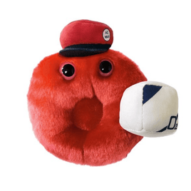 Giant Microbes Cells at Work Red Blood Cell - Planet Microbe