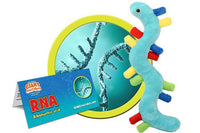 Giant Microbes Original RNA (Ribonucleic Acid) - Planet Microbe