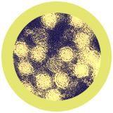 Giant Microbes Original West Nile Virus - Planet Microbe